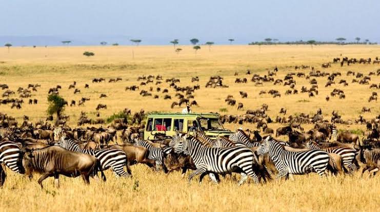 Serengeti National Park