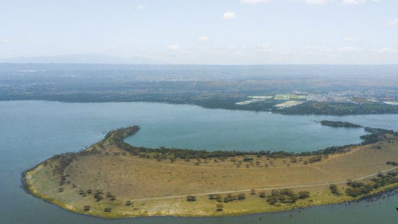 Crescent Island Game Sanctuary